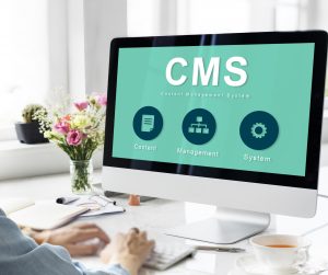 Top Drupal Development Companies for Custom CMS Solutions in 2025