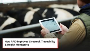How RFID Improves Livestock Traceability & Health Monitoring